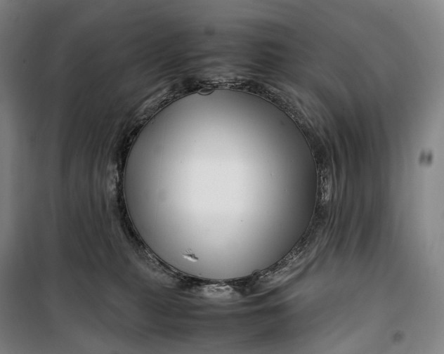 X0000099570279200806061610