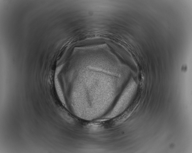 X0000099570280200806061610