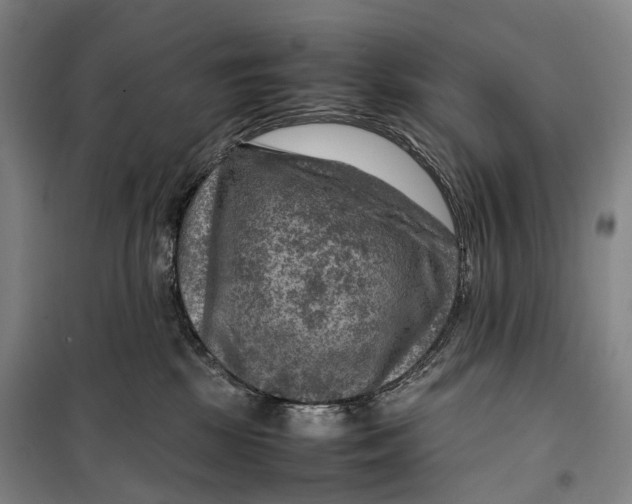 X0000099570281200806061610