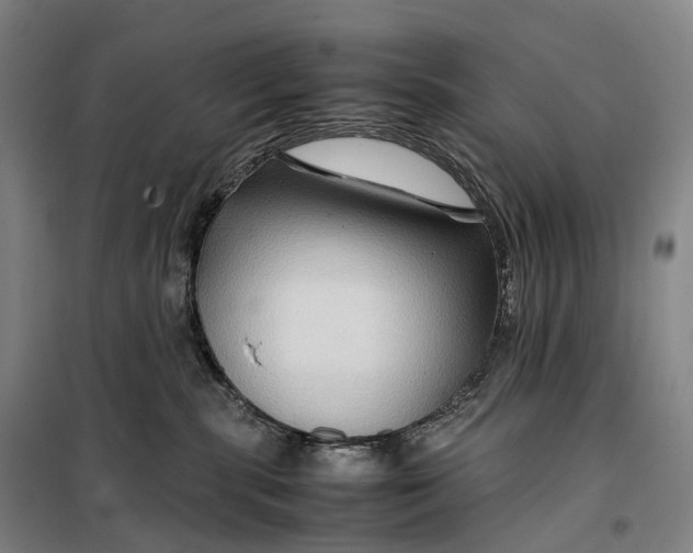 X0000099570283200806061610