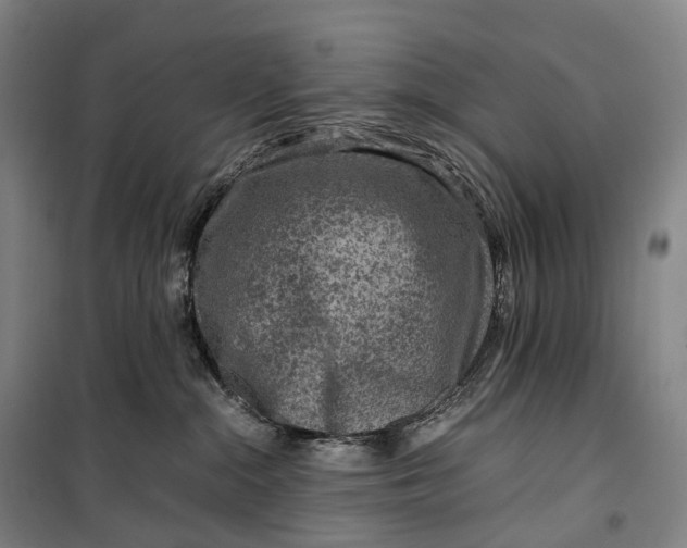 X0000099570284200806061610