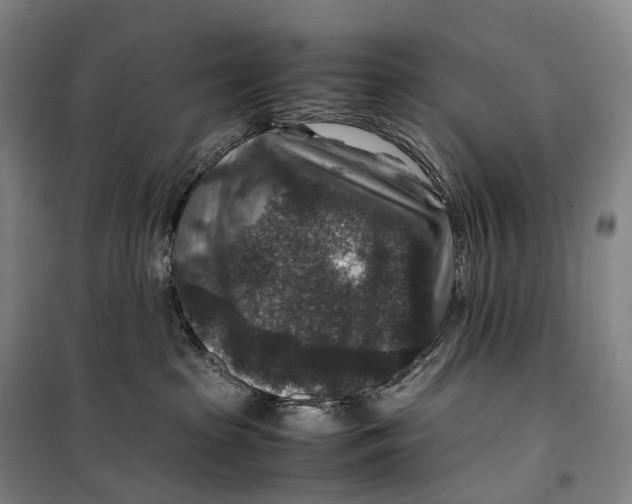 X0000099570285200806061610