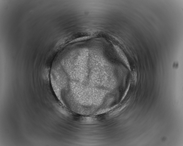 X0000099570286200806061610