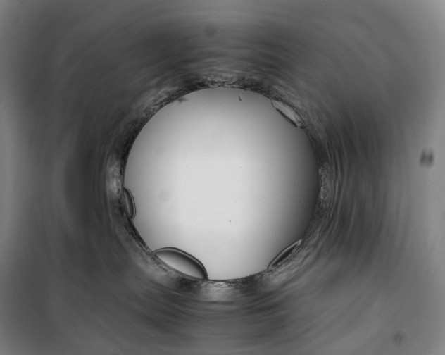 X0000099570287200806061610