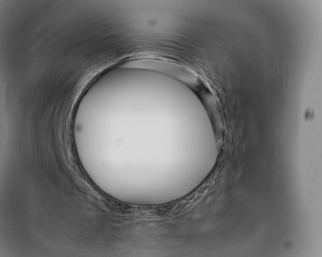 X0000099570289200806061609