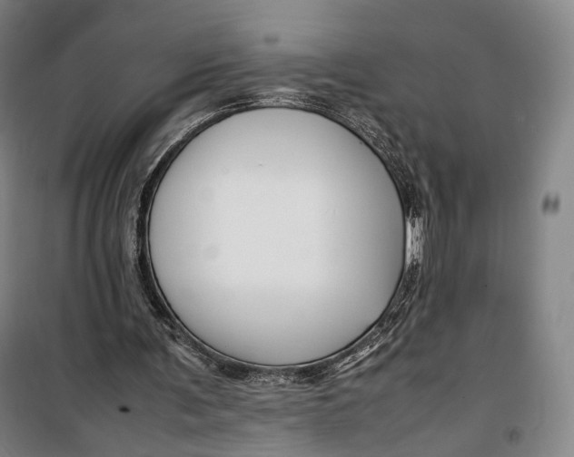 X0000099570291200806061609
