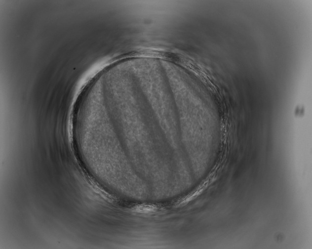 X0000099570294200806061609