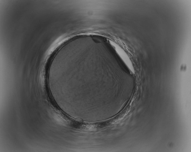 X0000099570295200806061609