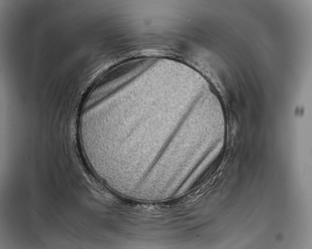 X0000099570297200806061609