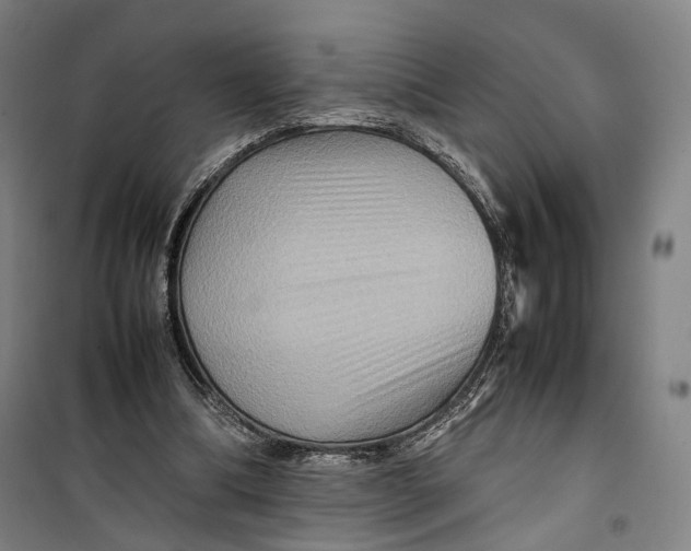 X0000099570298200806061609
