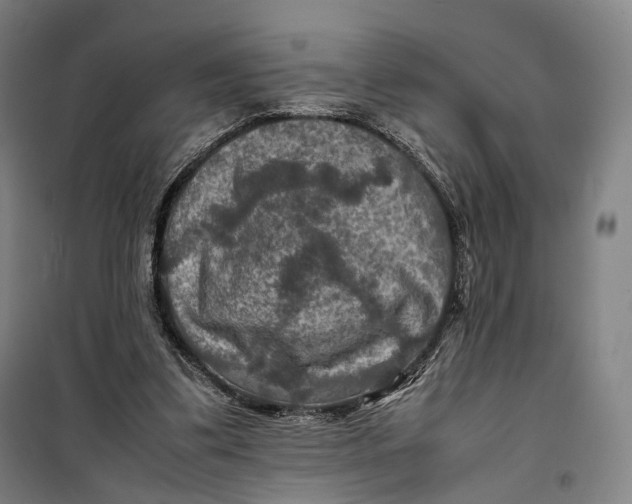 X0000099570299200806061609