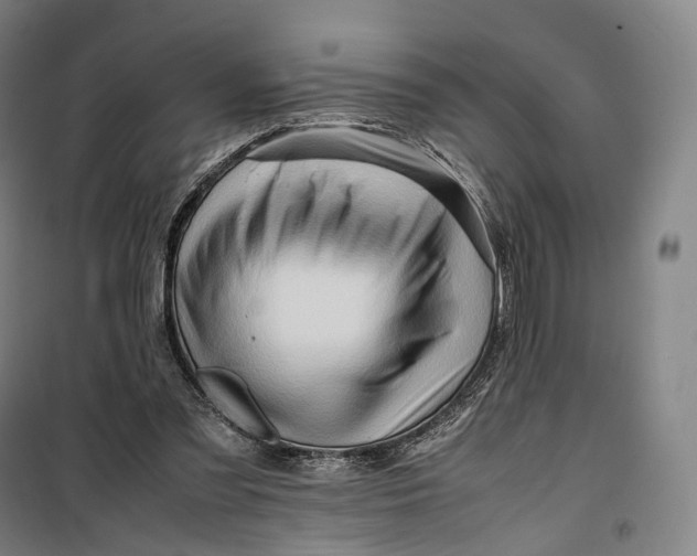 X0000099570301200806061609