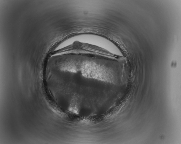 X0000099570303200806061609