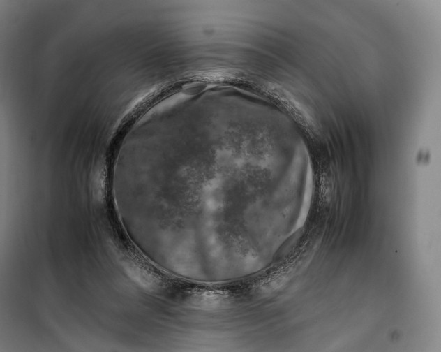 X0000099570304200806061609