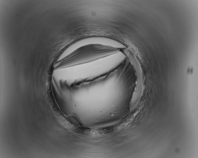 X0000099570305200806061609