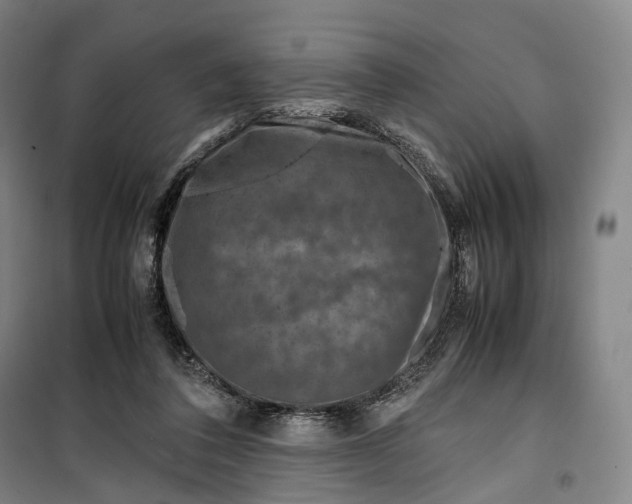 X0000099570308200806061609