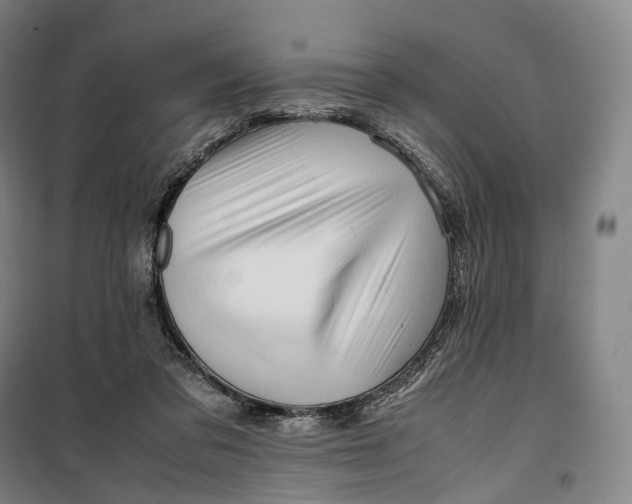 X0000099570309200806061609