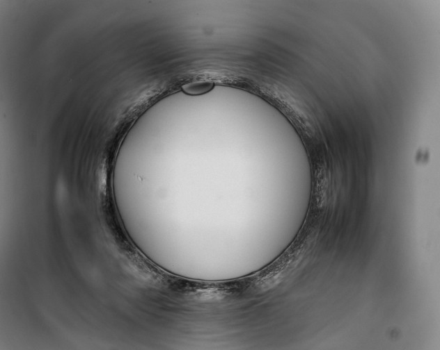 X0000099570310200806061609