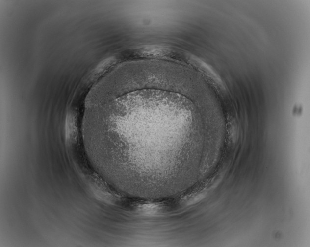 X0000099570312200806061609