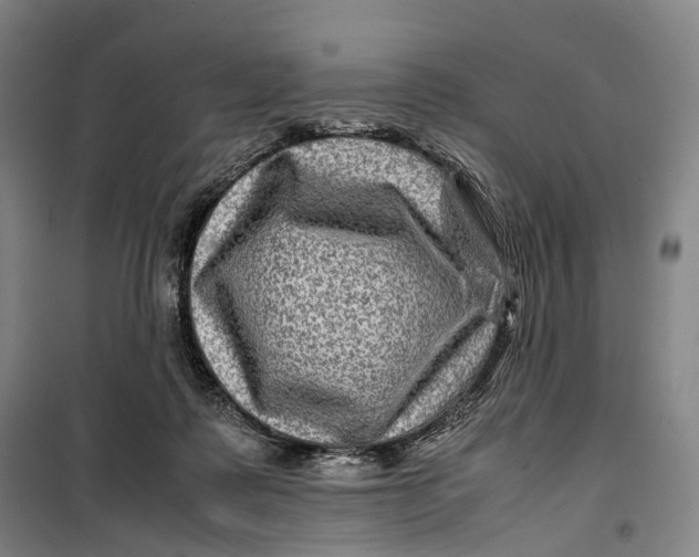 X0000099570315200806061609