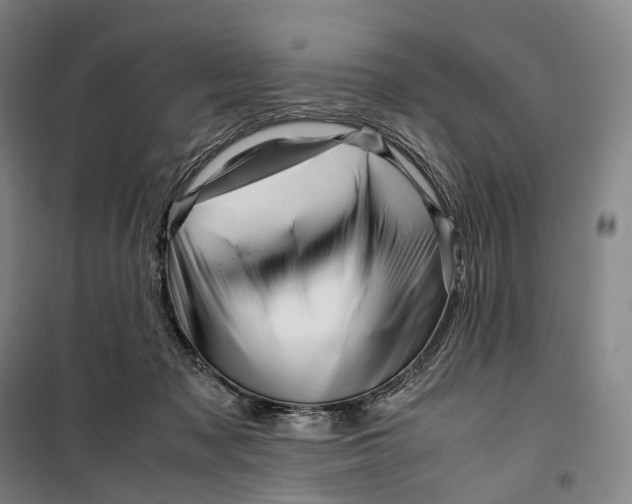 X0000099570317200806061609