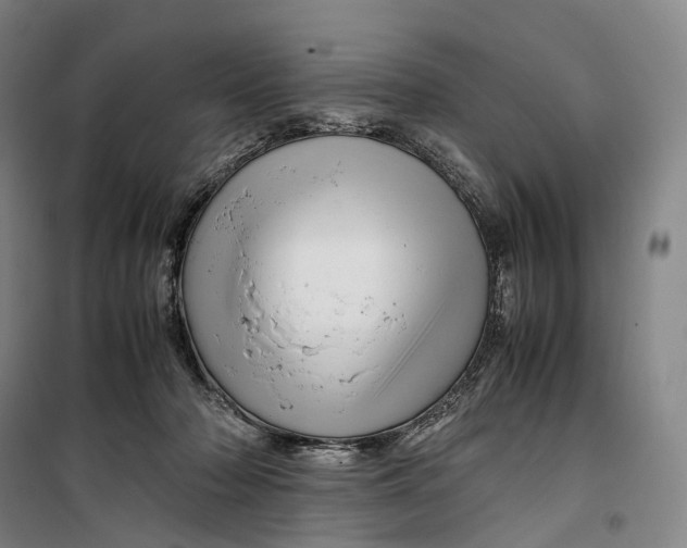 X0000099570318200806061609