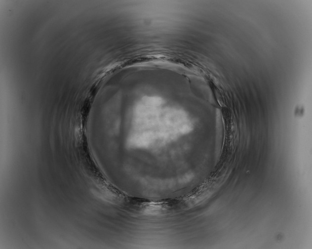 X0000099570320200806061609
