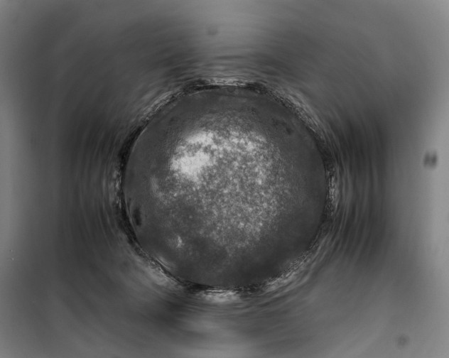 X0000099570322200806061609