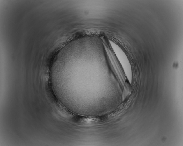 X0000099570323200806061609