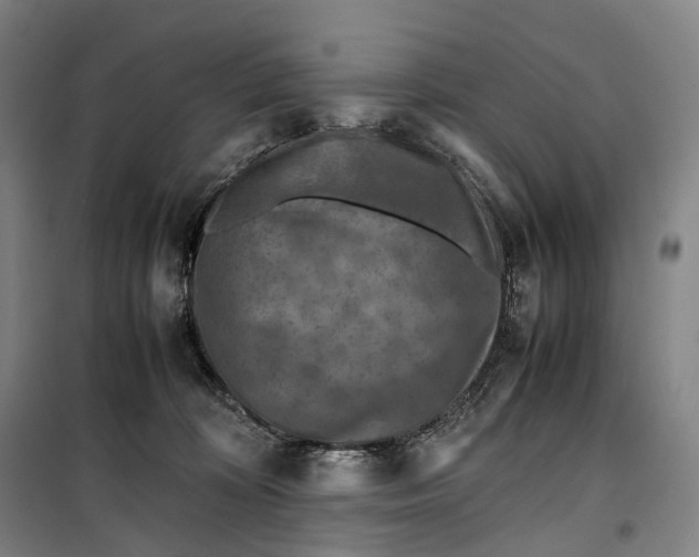 X0000099570324200806061609