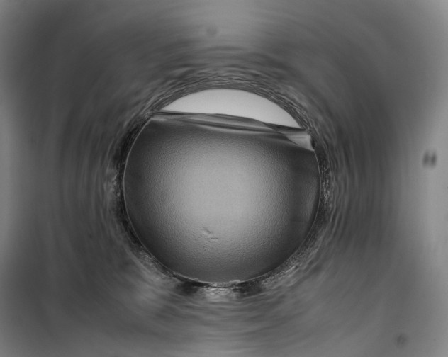 X0000099570327200806061609