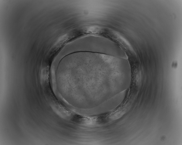 X0000099570328200806061609