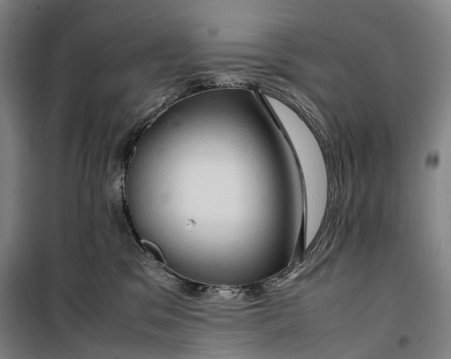 X0000099570329200806061609