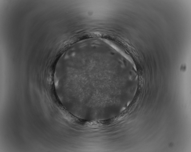 X0000099570331200806061609