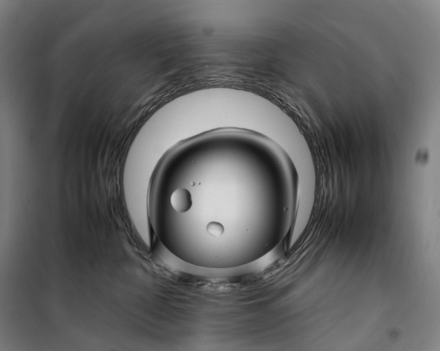 X0000099570332200806061609