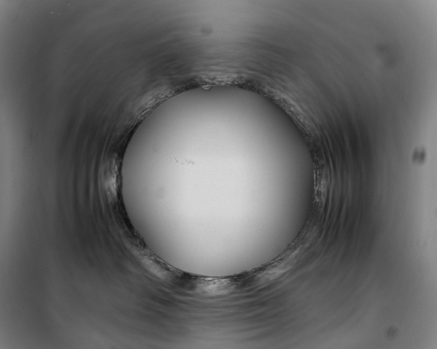 X0000099570334200806061609
