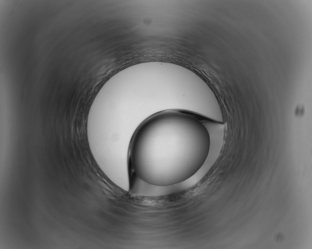 X0000099570336200806061609