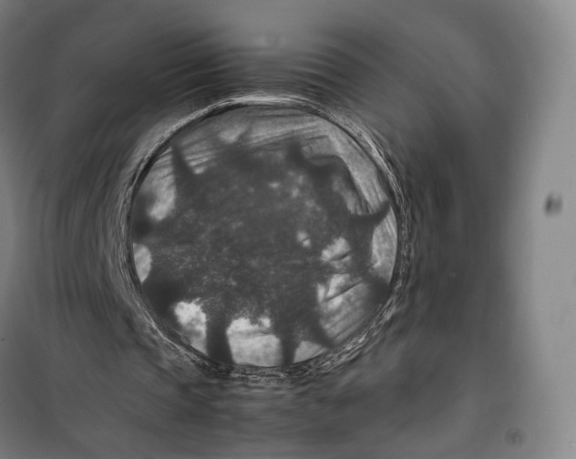 X0000099570337200806061608