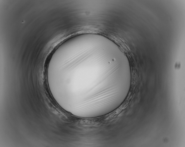 X0000099570338200806061608