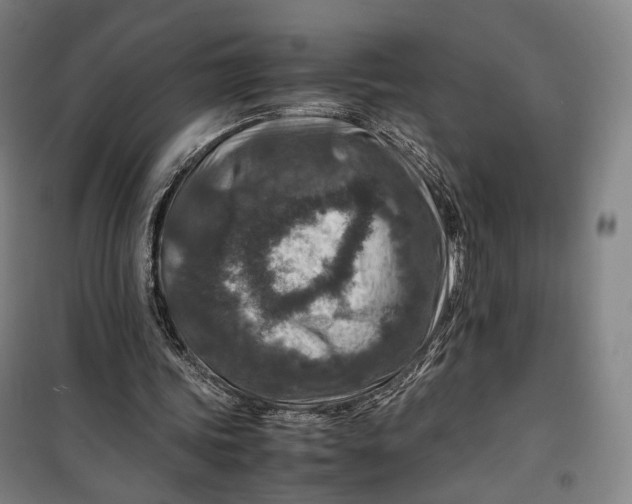 X0000099570339200806061608