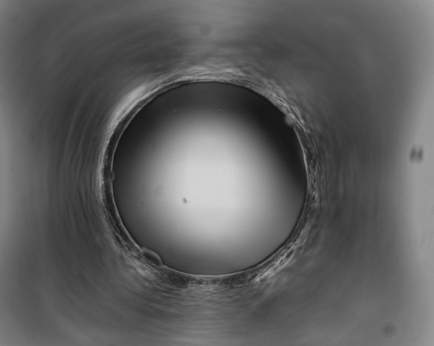 X0000099570340200806061608