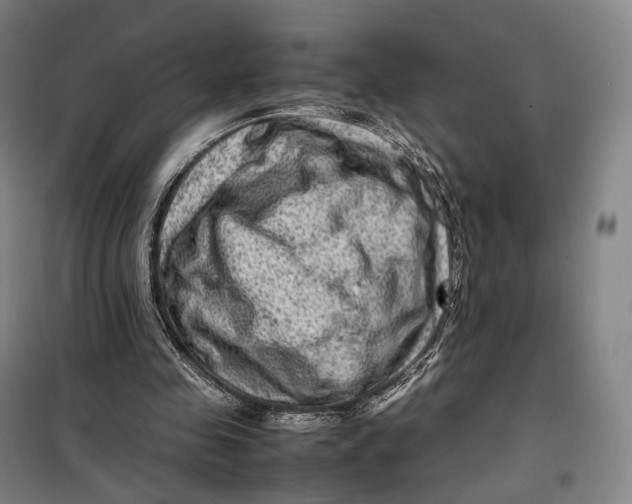 X0000099570341200806061608