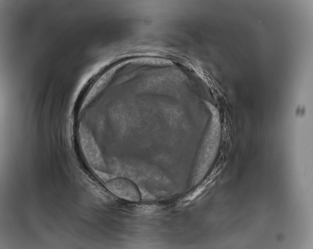 X0000099570342200806061608