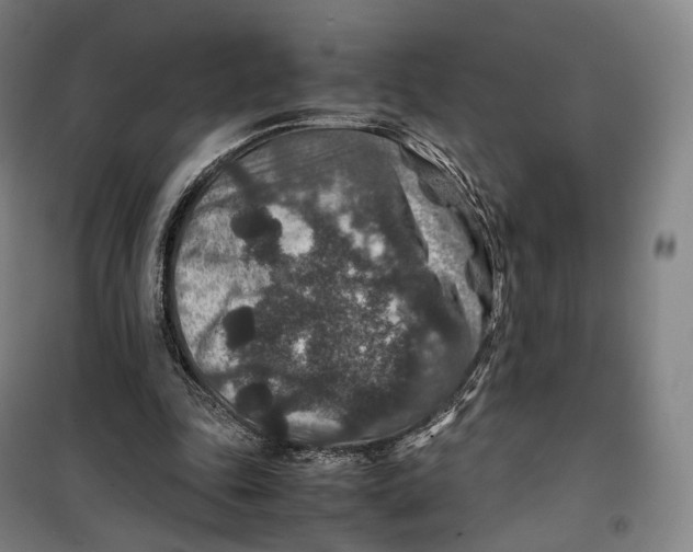 X0000099570343200806061608