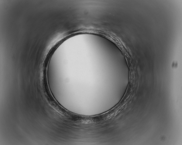 X0000099570344200806061608