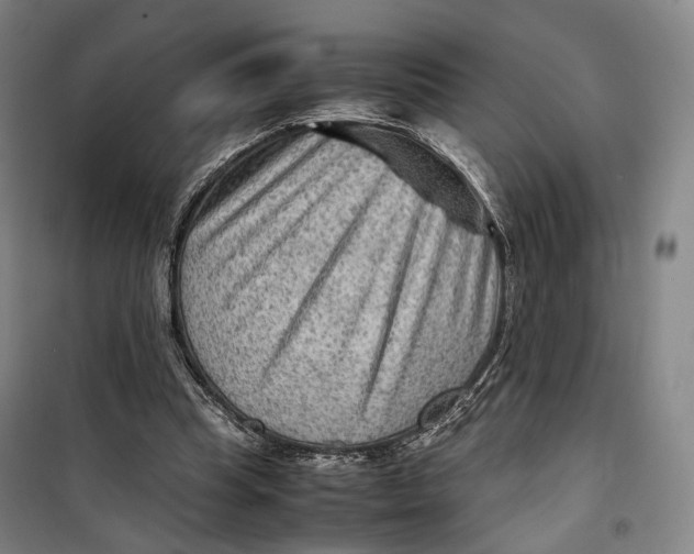 X0000099570345200806061608