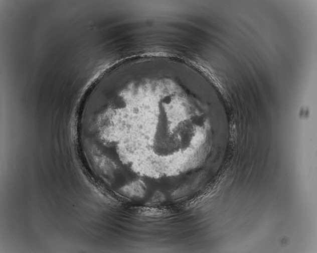 X0000099570347200806061608