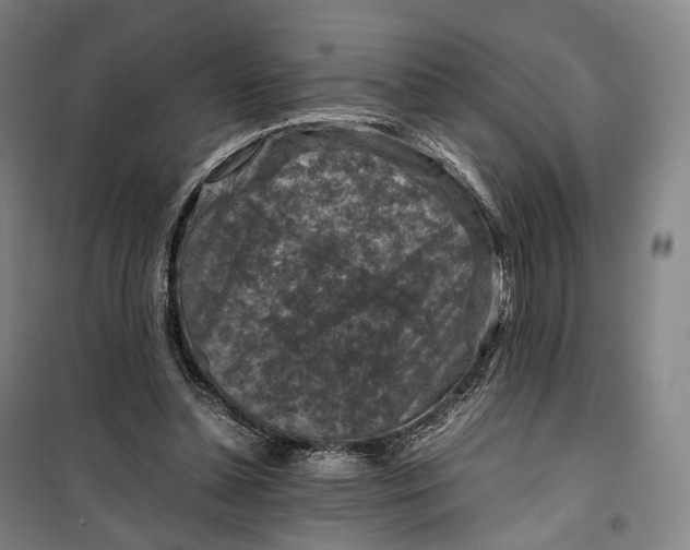 X0000099570348200806061608