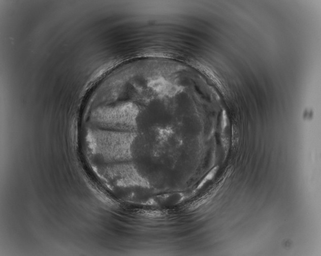 X0000099570349200806061608