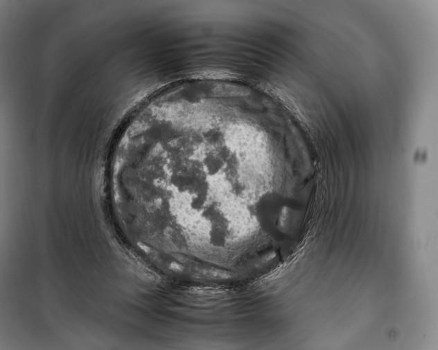X0000099570351200806061608